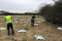 Aylesbury-Tree-Planting-3-e1523541832624