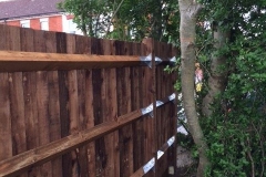 Chertsey, Fencing