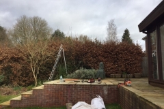 Hedge-Reduction-Hemel