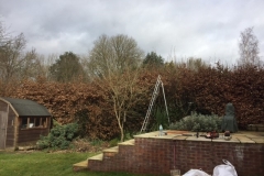 Hedge-Reduction-Hemel