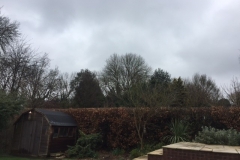 Hedge-Reduction-Hemel