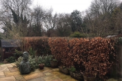 Hedge-Reduction-Hemel