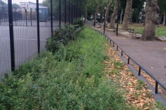 Highbury, Islington, Shrub Removal and Seed