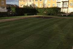 Hillingdon, Turfing