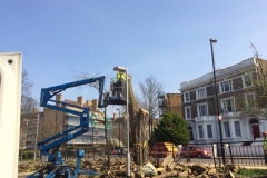 Holloway, London, Removal of Dead Robina Tree