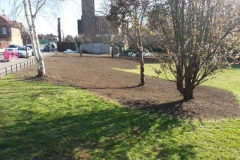 Wanstead, East London, Shrub Removal and Seed