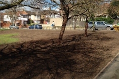 Wanstead, East London, Shrub Removal and Seed