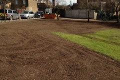 Wanstead, East London, Shrub Removal and Seed